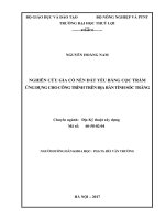 Nghiên cứu gia cố nền đất yếu bằng cọc tràm ứng dụng cho công trình trên địa bàn tỉnh sóc trăng 