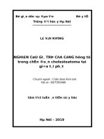 Nghiên cứu giá trị của cộng hưởng từ trong chẩn đoán cholesteatoma tai giữa tái phát tt 