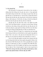 Phát triển chương trình đào tạo liên thông trình độ đại học nhóm ngành công nghệ kỹ thuật cơ khí theo tiếp cận CDIO tt 