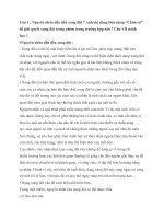 Kĩ Năng Làm Việc Nhóm  BÀI TIỂU LUẬN