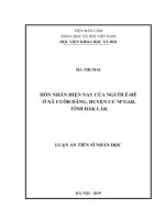 Hôn nhân hiện nay của người Êđê ở xã Cuôr Dăng, huyện Cư M’gar, tỉnh Đắk Lắk (Luận án tiến sĩ)