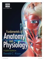 Fundamentals of anatomy and physiology 4th ed    d  rizzo (cengage, 2015) 
