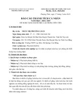Báo cáo thành tích cá nhân đề nghị tặng lao động tiên tiến năm 2019
