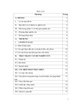 Phát huy kỹ năng  làm việc nhóm trong việc hướng dẫn học sinh nghiên cứu khoa học trong trường trung học phổ thông.