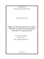 Nghiên cứu thu nhận, khảo sát cấu trúc và tính chất của exopolysaccharide sinh tổng hợp từ lactobacillus fermentum tt 