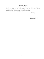 Giải pháp tăng cường công tác quản trị nguồn nhân lực ở trường cao đẳng nghề lạng sơn 