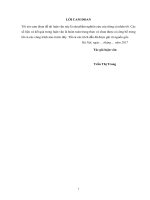 Nghiên cứu giải pháp sử dụng hiệu quả nguồn vốn ADB cho dự án phát triển cơ sở hạ tầng nông thôn 