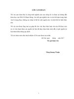 Giải pháp nâng cao năng lực cạnh tranh tại công ty cổ phần tƣ vấn đầu tƣ phát triển cửa đông – tỉnh lạng sơn 