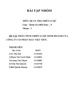 BÀI TẬP NHÓM PHÂN TÍCH CHIẾN LƯỢC KINH DOANH CỦA CÔNG TY CỔ PHẦN MAY VIỆT TIẾN