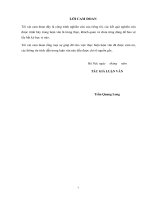 Giải pháp tăng cường sự tham gia của thanh niên trong chương trình xây dựng nông thôn mới tại huyện lộc bình, tỉnh lạng sơn 