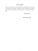 Giải pháp tăng cường công tác thu hút đầu tư trực tiếp nước ngoài tại tỉnh lạng sơn 