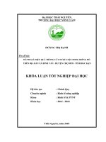 Đánh giá hiệu quả trồng cây dược liệu dong riềng đỏ trên địa bàn xã bình văn – huyện chợ mới – tỉnh bắc kạn 