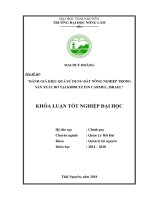 Đánh giá hiệu quả sử dụng đất nông nghiệp trong sản xuất bơ tại kibbutz ein carmel, israel 