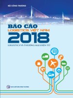 Báo cáo Logistic Việt Nam năm 2018: Logistic và thương mại điện tử