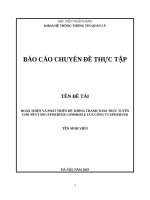 Hoàn thiện và phát triển hệ thống thanh toán trực tuyến tại nền tảng episerver commerce của công ty episerver