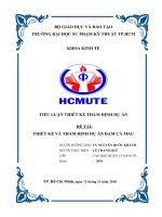 TIEU LUAN THAM DINH DU AN DAM CA MAU (BAI TAP FULLBRIGHT)