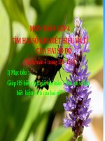 Bài giảng Toán 4 chương 5 bài 1: Tìm 2 số khi biết hiệu và tỉ của 2 số đó