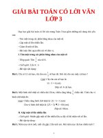 Giai toan co loi van   lớp 3 