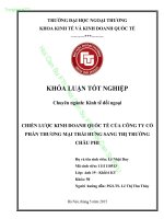 CHIẾN LƯỢC KINH DOANH QUỐC TẾ CỦA  CTCP THƯƠNG MẠI THÁI HƯNG SANG THỊ TRƯỜNG CHÂU PHI