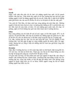 dịch phần unit 5 lớp 12