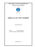 A study on the causes of difficulties in reading skill experienced by first year english majors at haiphong private university and some suggested solutions 