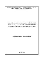 Nghiên cứu đặc điểm sinh học, sinh thái của tuyến trùng meloidogyne sp  hại cà tím và biện pháp phòng trừ theo hướng quản lý tổng hợp tại lâm đồng