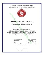 THỰC TRẠNG KINH DOANH NĂNG LƯỢNG MẶT TRỜI TRÊN THẾ GIỚI VÀ ĐỀ XUẤT CHO CÁC CÔNG TY KINH DOANH NĂNG LƯỢNG MẶT TRỜI TẠI VIỆT NAM