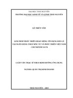 Giải pháp phát triển hoạt động tín dụng bán lẻ tại ngân hàng TMCP đầu tư và phát triển việt nam chi nhánh sa pa 