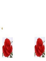 Bài giảng Toán 4 chương 2 bài 2: Nhân với số có tận cùng là chữ số 0