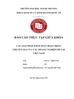 Các giải pháp kiểm soát hoạt động chuyển giá của các doanh nghiệp FDI tại Việt Nam