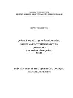 Quản lý nợ xấu tại ngân hàng nông nghiệp và phát triển nông thôn (agribank) chi nhánh tỉnh quảng ninh 