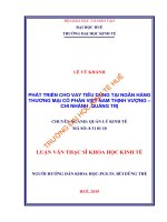 PHÁT TRIỂN CHO VAY TIÊU DÙNG tại NGÂN HÀNG THƯƠNG mại cổ PHẦN VIỆT NAM THỊNH VƯỢNG – CN QUẢNG TRỊ 