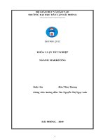 Thực trạng marketing mix của công ty cổ phần đầu tư và phát triển hải nam 