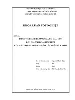PHÂN TÍCH ẢNH HƯỞNG CỦA CƠ CẤU VỐN ĐẾN GIÁ TRỊ DOANH NGHIỆP CỦA CÁC DOANH NGHIỆP NIÊM YẾT TRÊN SÀN HOSE