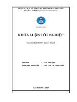 Hoàn thiện công tác kế toán hàng hóa tại công ty cổ phần thương mại đầu tư tân hương 