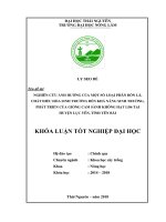 Nghiên cứu ảnh hưởng của một số loại phân bón lá, chất điều hòa sinh trưởng đến khả năng sinh trưởng, phát triển của giống cam sành không hạt lđ6 tại huyện lục yên, tỉnh yên bái 