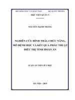 Nghiên cứu hình thái, chức năng, mô bệnh học và kết quả phẫu thuật điều trị tinh hoàn ẩn 