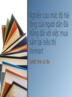 Nghiên cứu mức độ hài lòng của người dân đà nẵng đối với việc mua sắm tại siêu thị vinmart