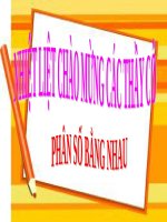 Bài giảng Toán 4 chương 4 bài 1: Phân số bằng nhau