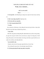 Giải Pháp nâng cao năng lực học tập môn Toán cho học sinh lớp 3A và thể dục