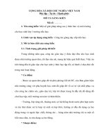 Đề tài sức khỏe răng miệng, bảo vệ môi trường