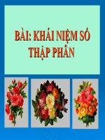 Bài giảng Toán 5 chương 2 bài 1: Khái niệm số thập phân