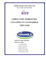 xay dung lap ke hoach marketing cho vinamilk