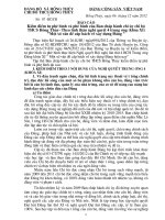 BAO CAO KIEM DIEM BCH CHI UY 