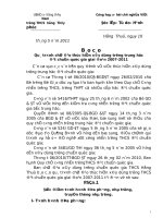 BAO CAO CHI DAO 2011 