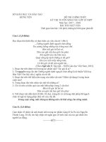 De vao 10 van 9hung yen 20172018 môn văn