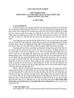 Sáng kiến kinh nghiệm: Biện pháp nâng cao hiệu quả các hoạt động Đội