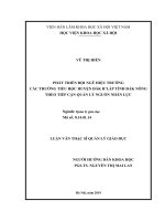 Phát triển đội ngũ hiệu trưởng các trường tiểu học huyện Đắk R’Lấp, tỉnh Đắk Nông theo tiếp cận quản lý nguồn nhân lực (Luận án tiến sĩ)