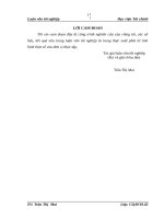 Tác động của đầu tư trực tiếp nước ngoài đến chuyển dịch cơ cấu kinh tế ở việt nam 