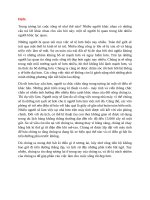 dịch unit 8 lớp 12